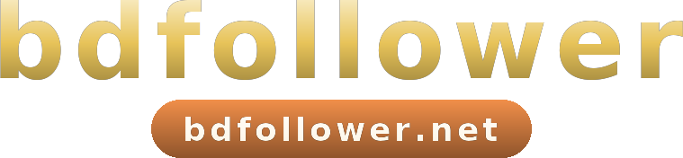 bdfollower logo